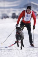Lenk 2013